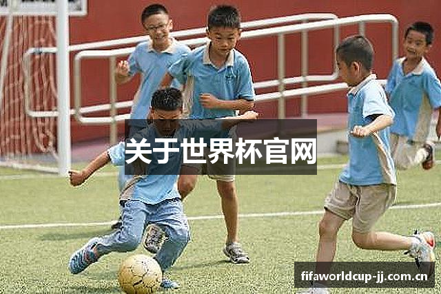 关于世界杯官网